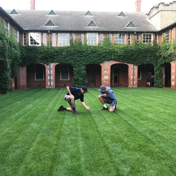 Two men inspecting college lawn