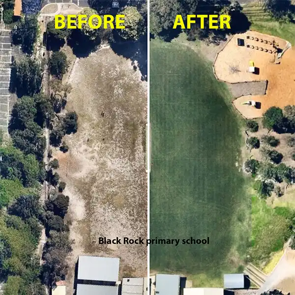 A before and after image of Black Rock primary school oval after it was renovated by Reseed Group. Showing a transformation of patchy brown oval to lush green oval.